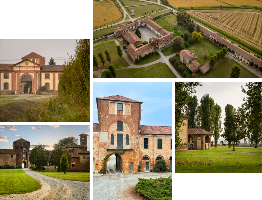 tenuta-darola_griglia-01.png